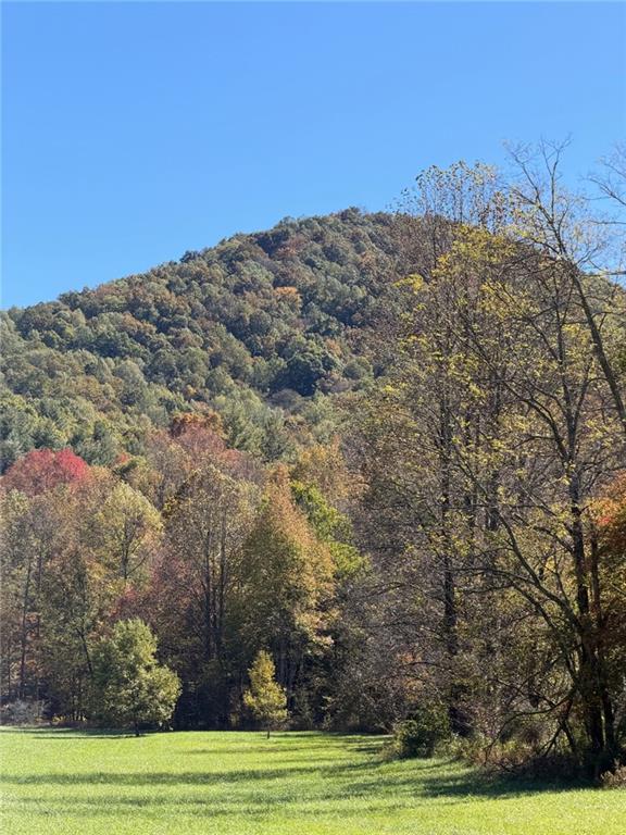 0 Old Bucktown Road Ellijay, GA 30536 - Photo 1 of 26 a view of a big yard with large trees