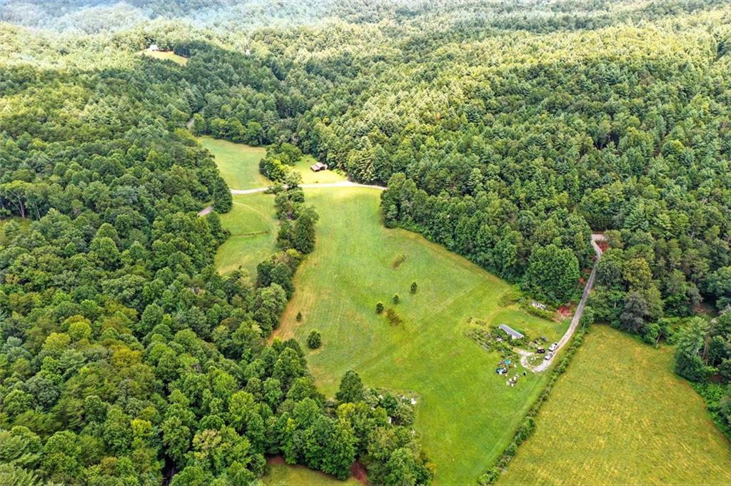 0 Old Bucktown Road Ellijay, GA 30536 - Photo 11 of 26 a view of a garden