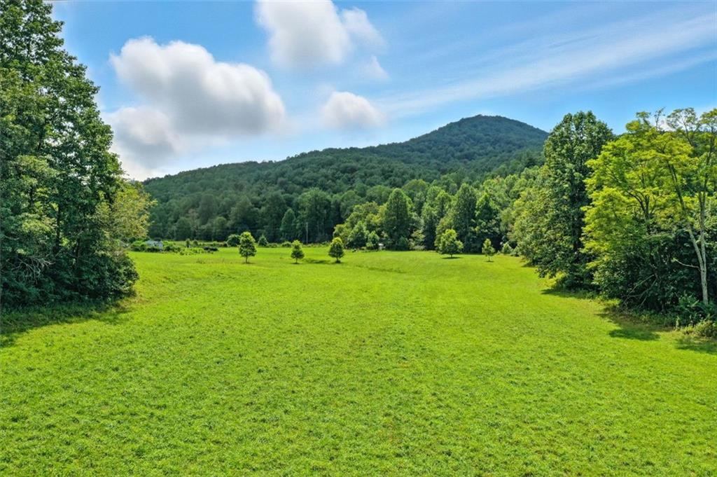 0 Old Bucktown Road Ellijay, GA 30536 - Photo 12 of 26 a view of an outdoor space and a yard