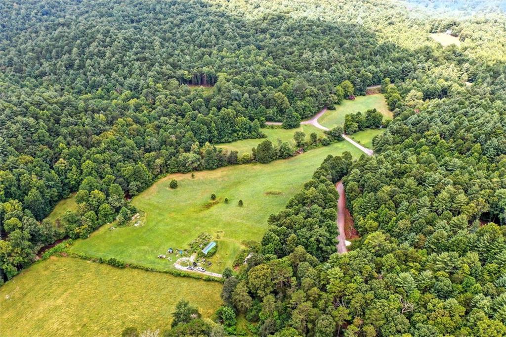 0 Old Bucktown Road Ellijay, GA 30536 - Photo 13 of 26 a view of a garden