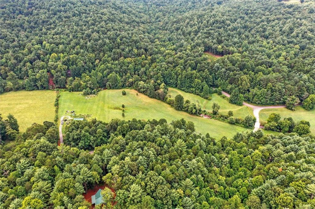 0 Old Bucktown Road Ellijay, GA 30536 - Photo 16 of 26 a view of a yard with plants and large trees