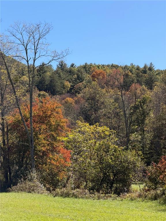 0 Old Bucktown Road Ellijay, GA 30536 - Photo 2 of 26 a view of a yard with a tree