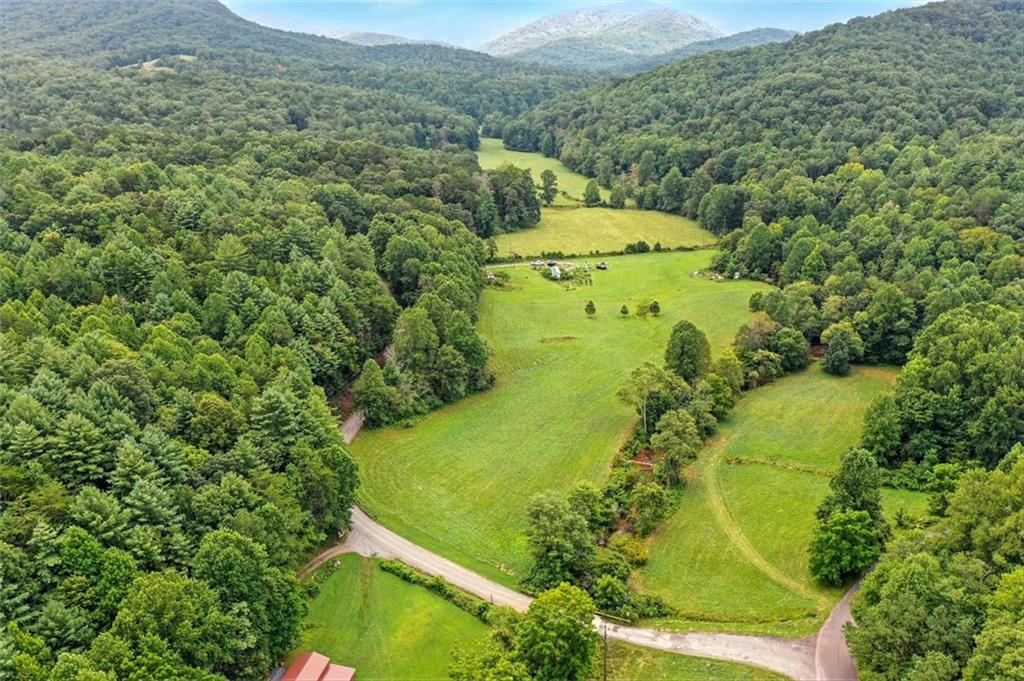 0 Old Bucktown Road Ellijay, GA 30536 - Photo 21 of 26 a view of a garden