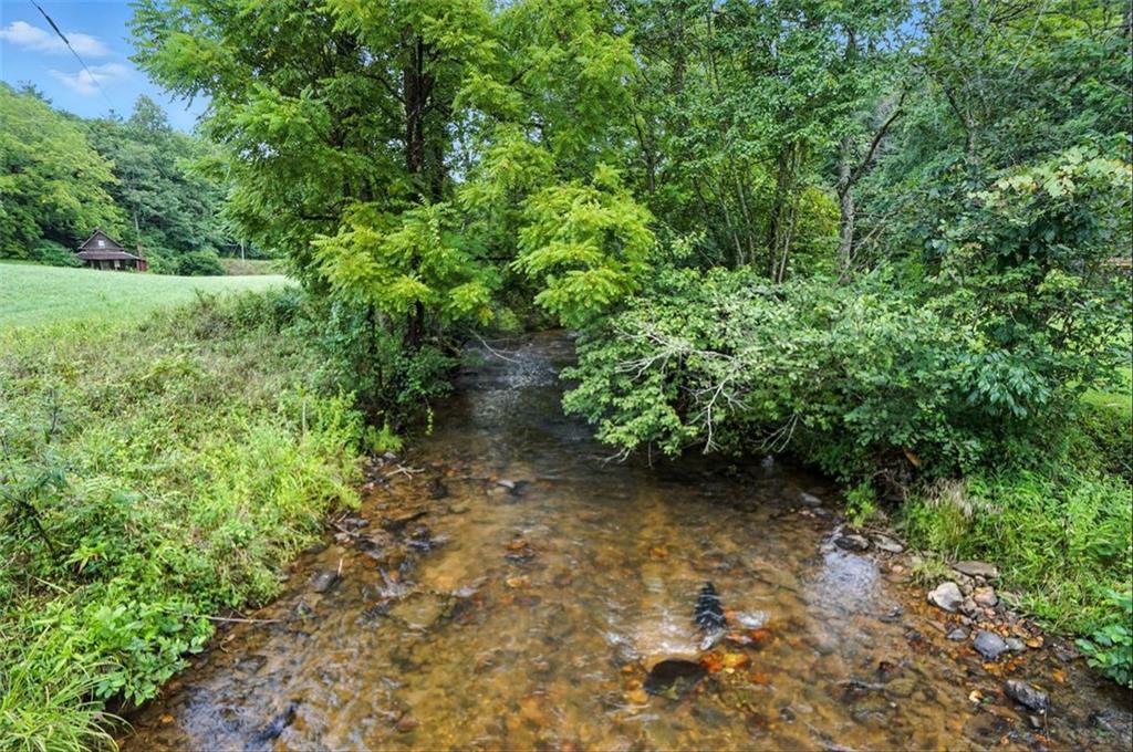 0 Old Bucktown Road Ellijay, GA 30536 - Photo 25 of 26 a view of a garden with plants