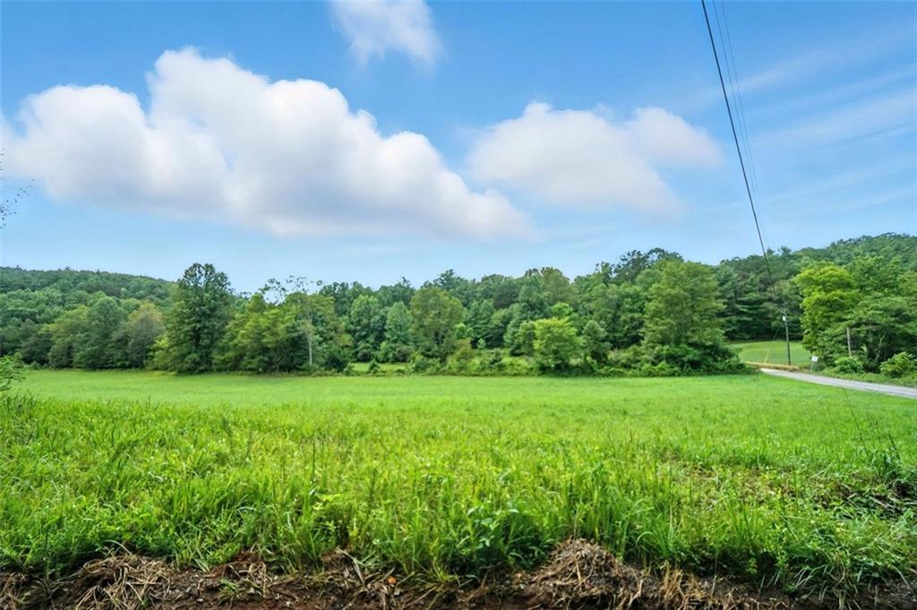 0 Old Bucktown Road Ellijay, GA 30536 - Photo 3 of 26 a view of a big yard with potted plants