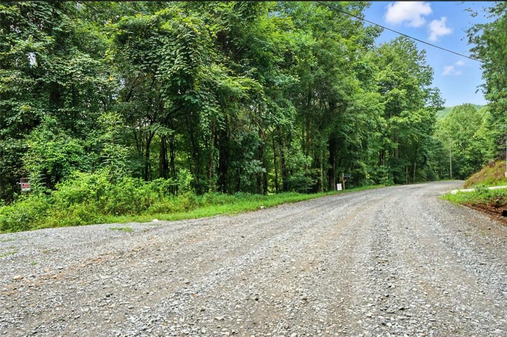 0 Old Bucktown Road Ellijay, GA 30536 - Photo 4 of 26 a view of a yard with a plants and trees all around
