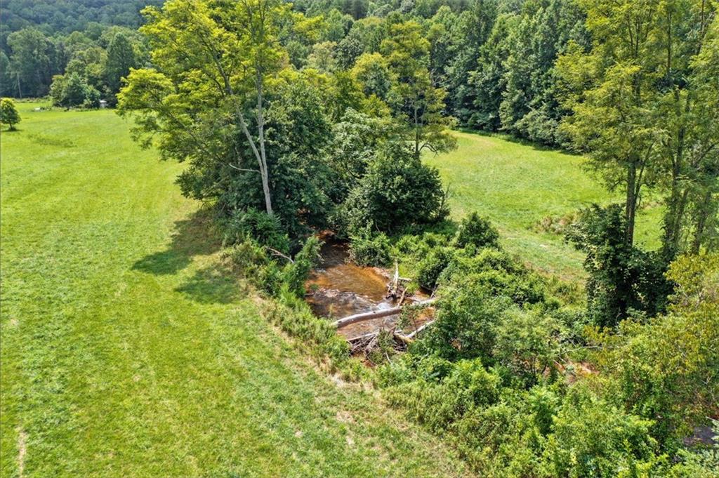 0 Old Bucktown Road Ellijay, GA 30536 - Photo 5 of 26 a view of a garden with a tree