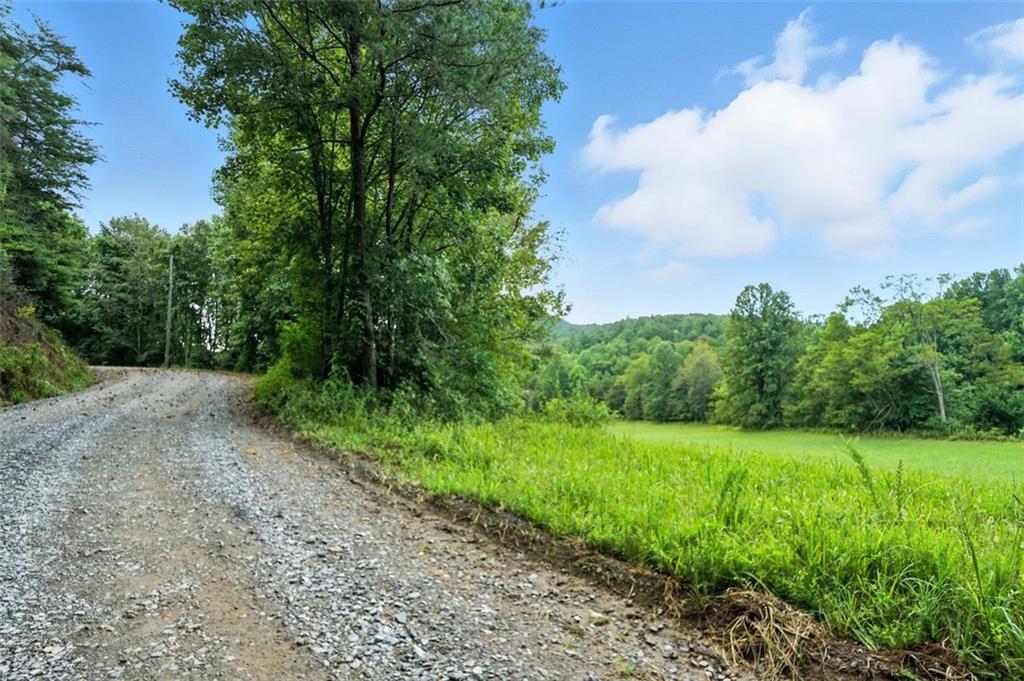 0 Old Bucktown Road Ellijay, GA 30536 - Photo 6 of 26 a view of a grassy field with trees in the background