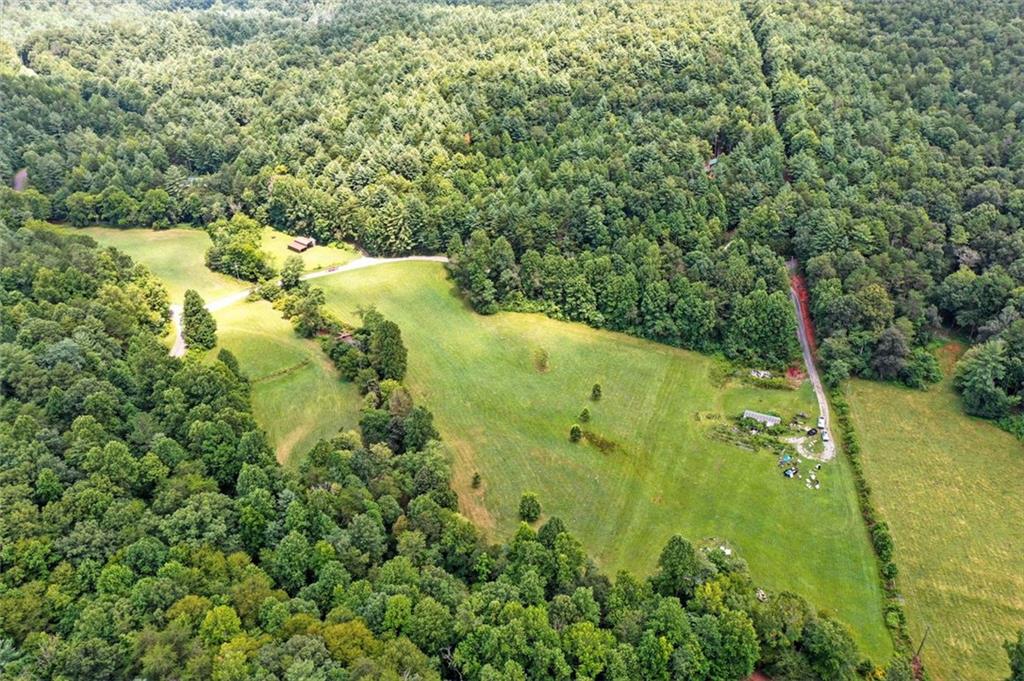 0 Old Bucktown Road Ellijay, GA 30536 - Photo 10 of 26 a view of a yard with plants and large trees