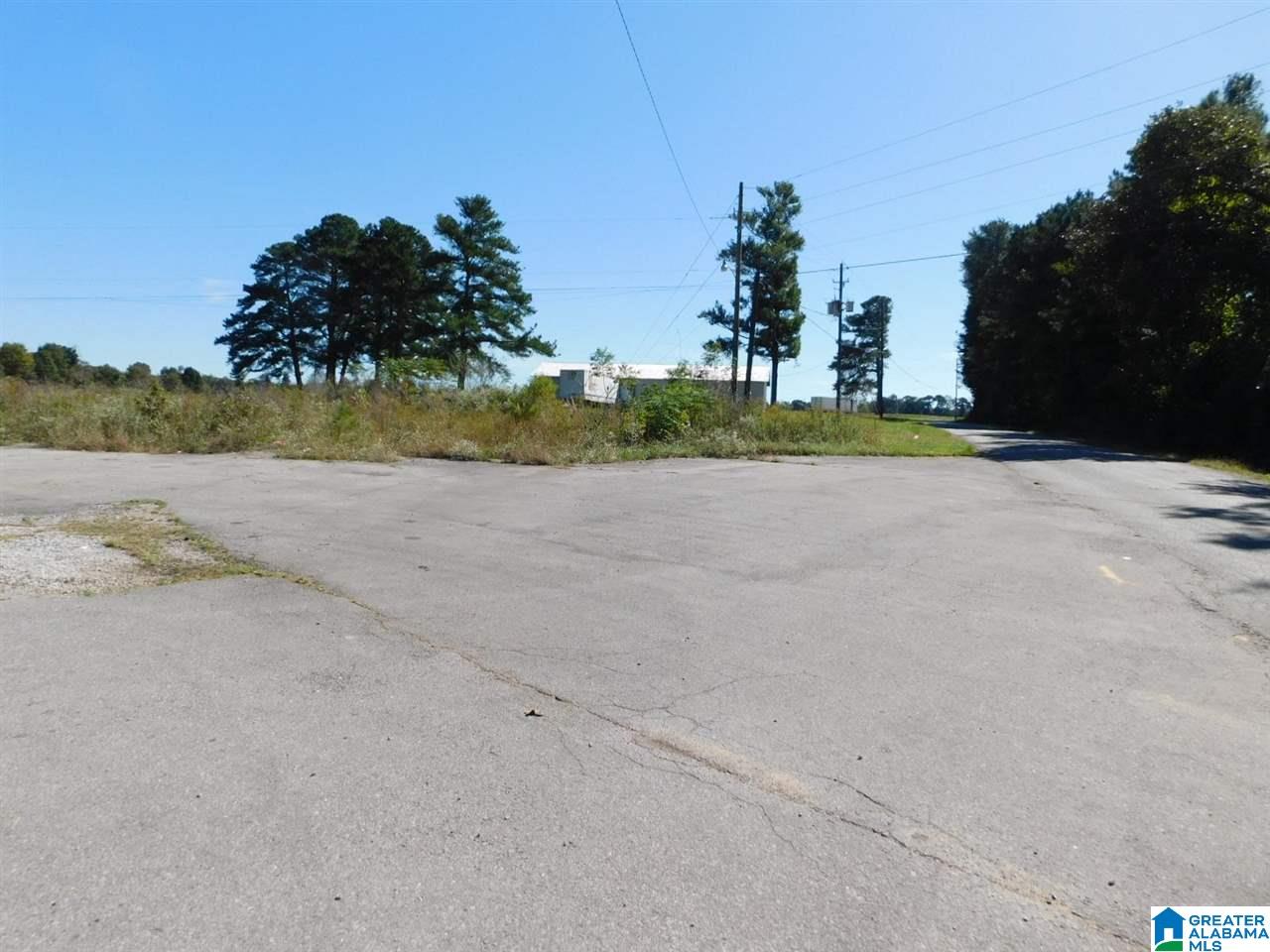 0 Highway 231, Unit 1 Oneonta, AL 35121 - Photo 2 of 6