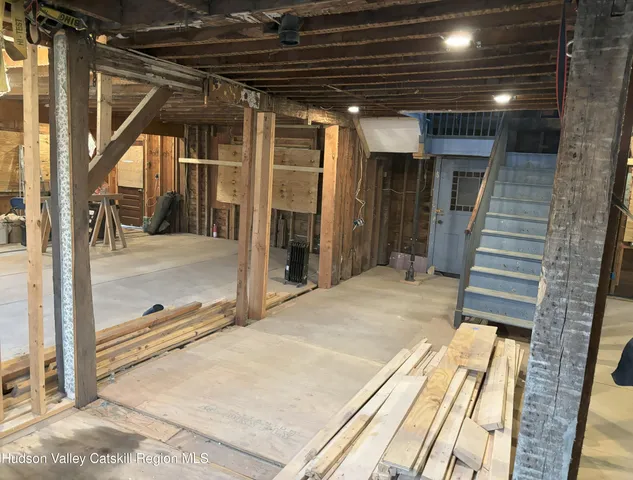 a view of lush green forest