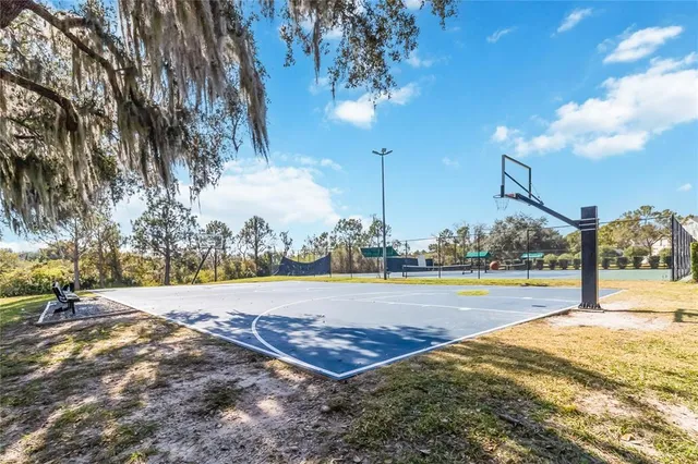 $830,000 | 4345 Saltmarsh Sparrow Drive, Windermere, FL 34786