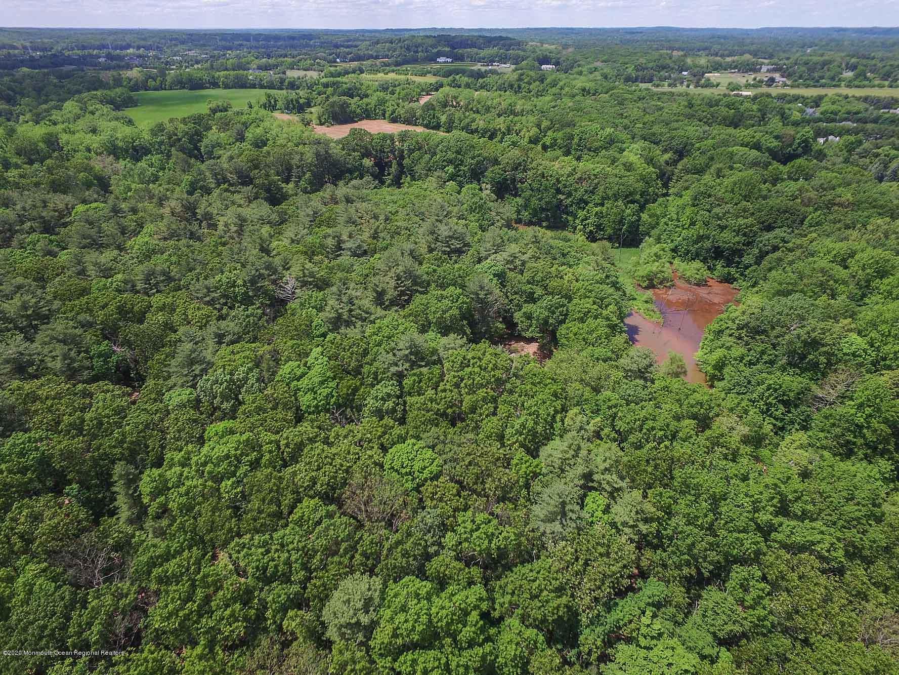 41 Muhlenbrink Road Colts Neck, NJ 07722 - Photo 42 of 72 DJI_0593