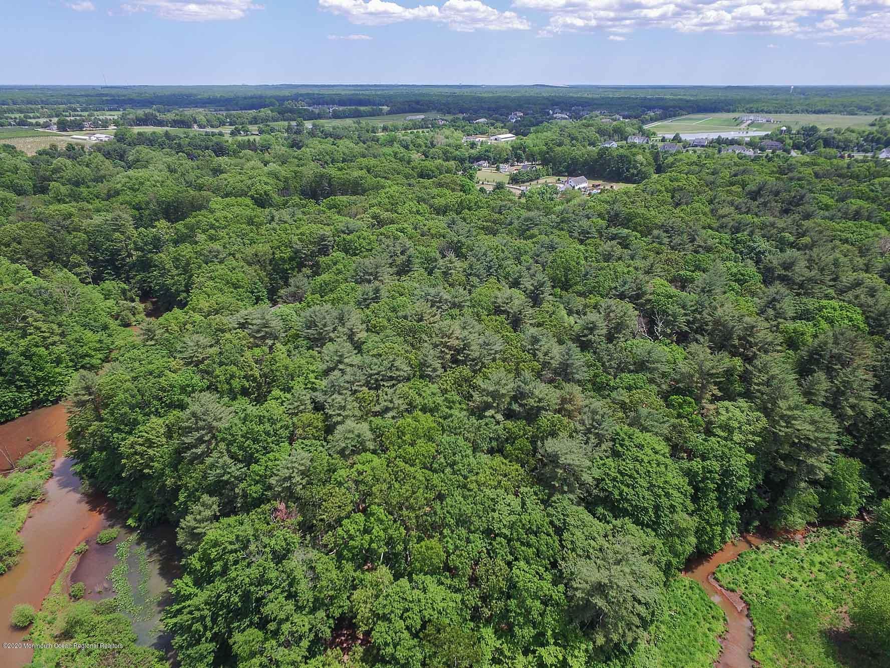 41 Muhlenbrink Road Colts Neck, NJ 07722 - Photo 43 of 72 DJI_0596