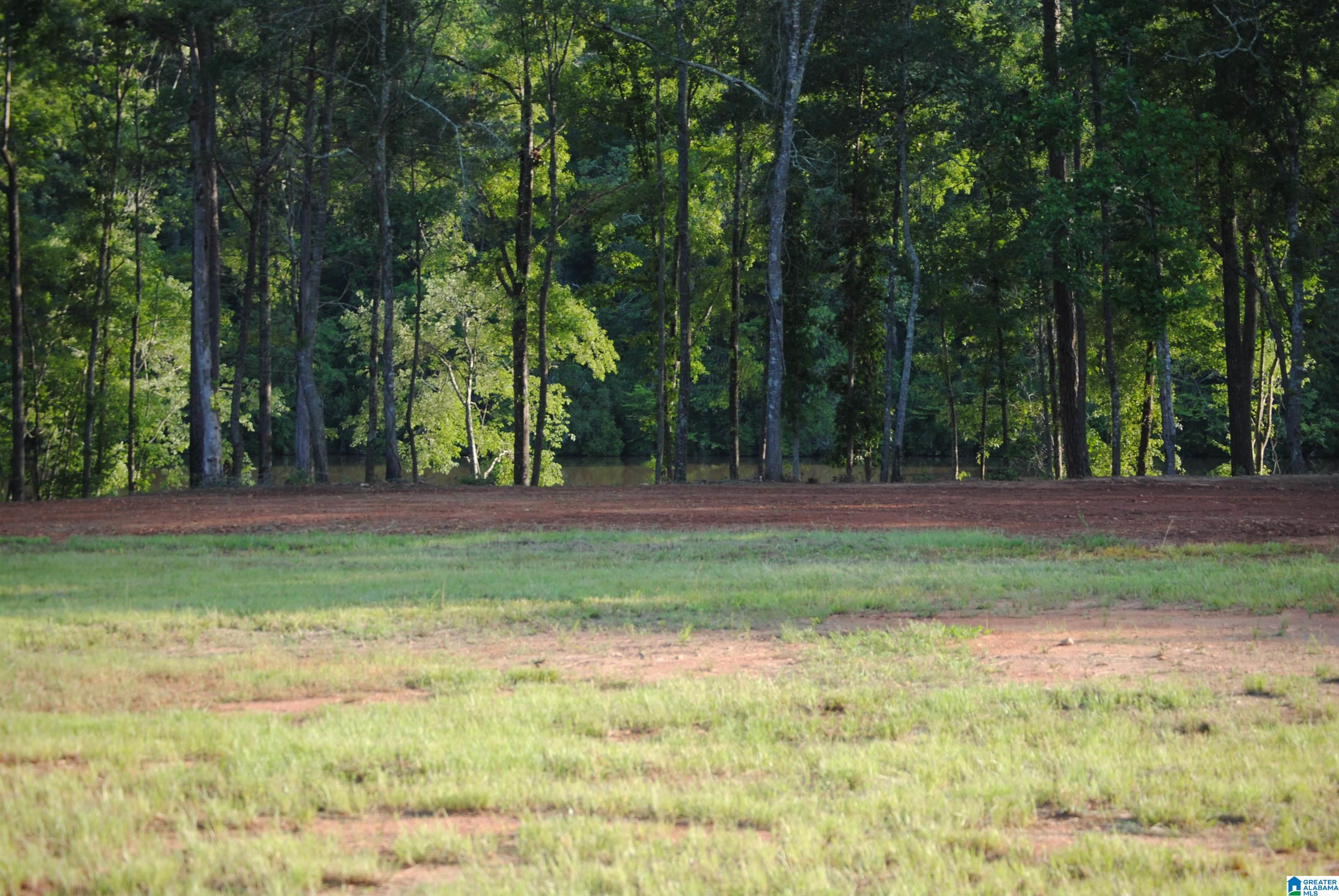 499 County Road, Unit 4 Woodland, AL 36280 - Photo 1 of 9 Gallery Image 1