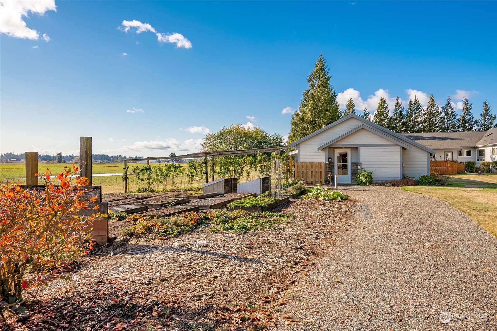 1243 Abbot Road Lynden, WA 98264 - Photo 18 of 40 a front view of a house with a yard and potted plants