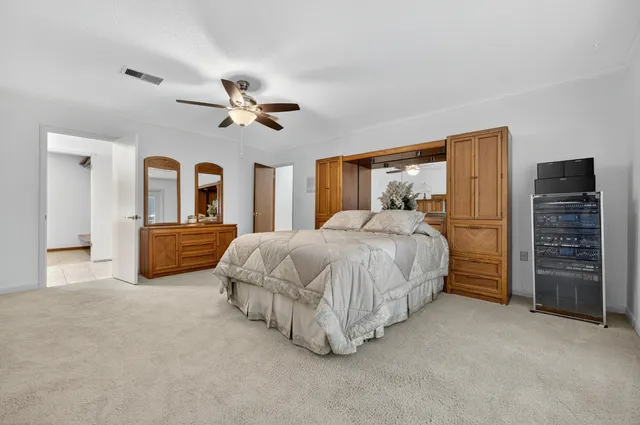 a view of a yard with plants