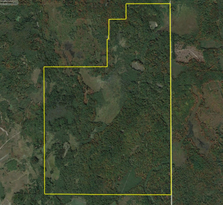 779 North Sharon Road Southeast Fife Lake, MI 49633 - Photo 23 of 27