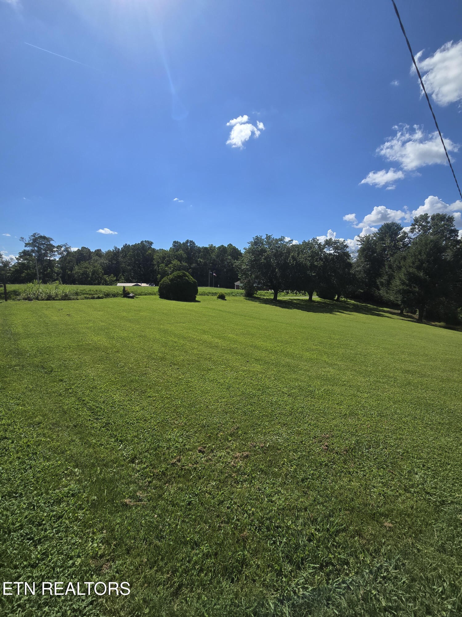 115 Cherry Street Deer Lodge, TN 37726 - Photo 7 of 18 Gallery Image 7