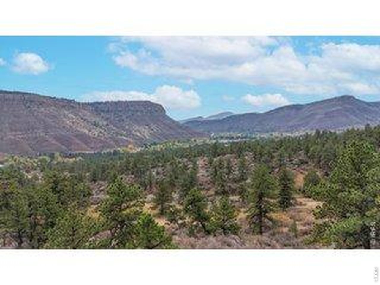 2155 Apple Valley Road Lyons, CO 80540 - Photo 8 of 15