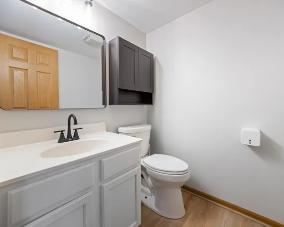 a bathroom with a sink a toilet and mirror