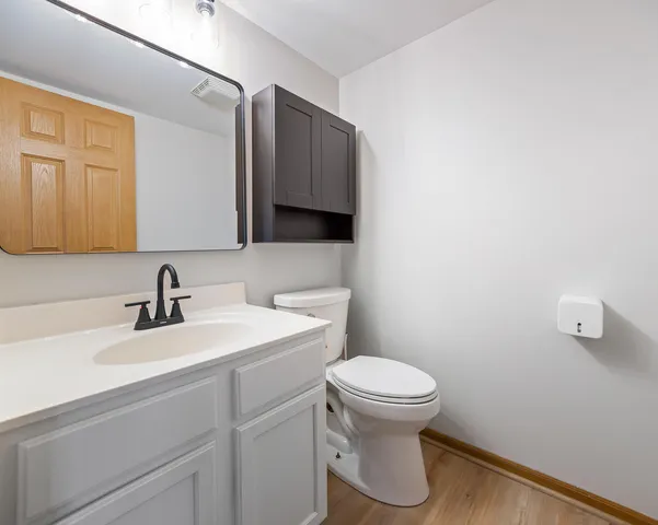 a bathroom with a sink a toilet and mirror