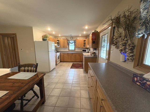 31025 North 2400 E Road Dwight, IL 60420 - Photo 27 of 43
