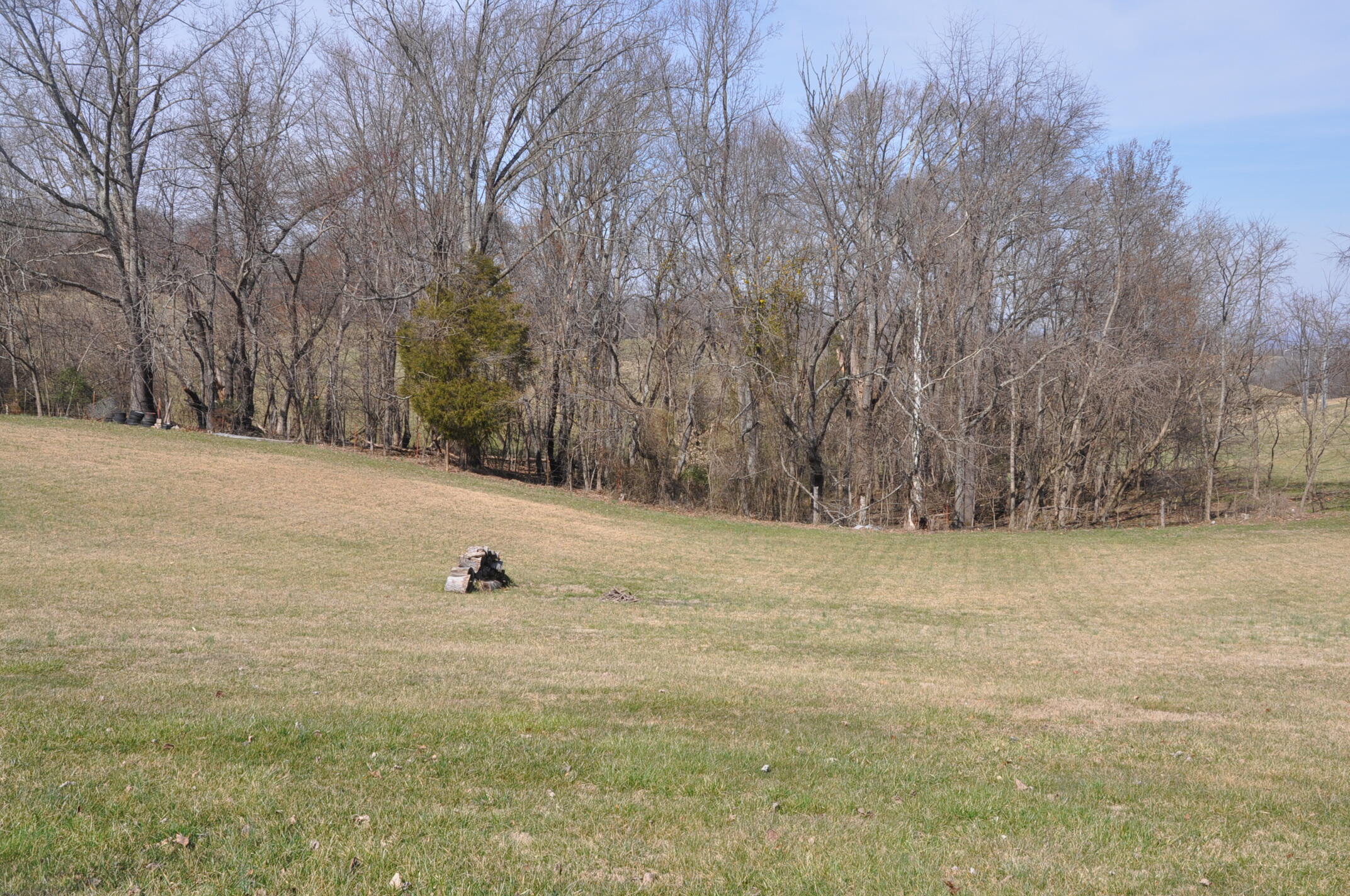 154 Dadburn Road Jonesborough, TN 37659 - Photo 16 of 19 DSC_0295
