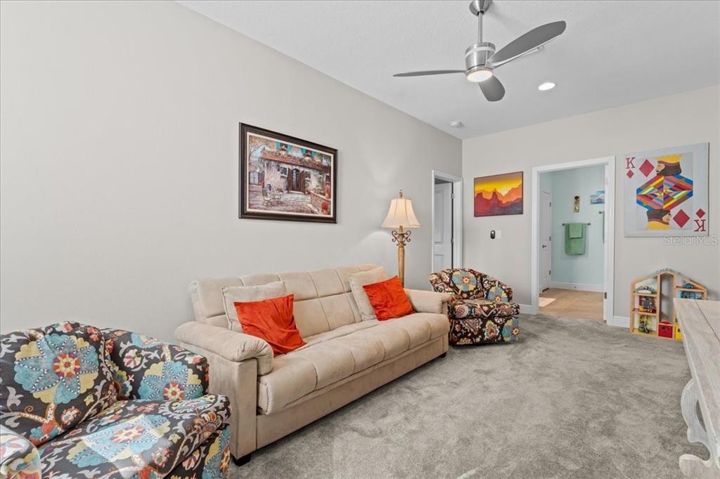 2244 Spring Lake Court Clearwater, FL 33763 - Photo 38 of 62