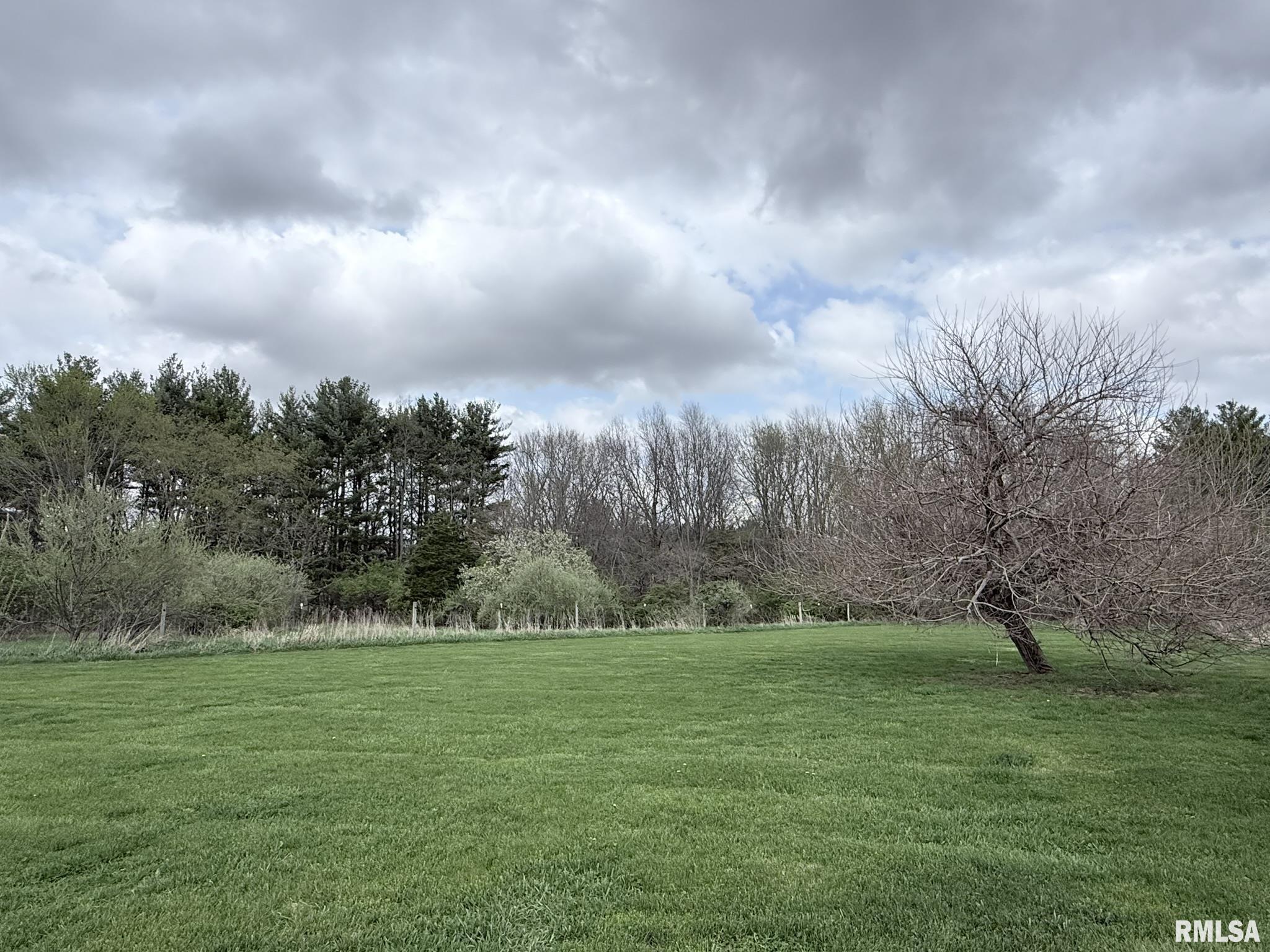 1195 Eiker Road Knoxville, IL 61448 - Photo 9 of 48