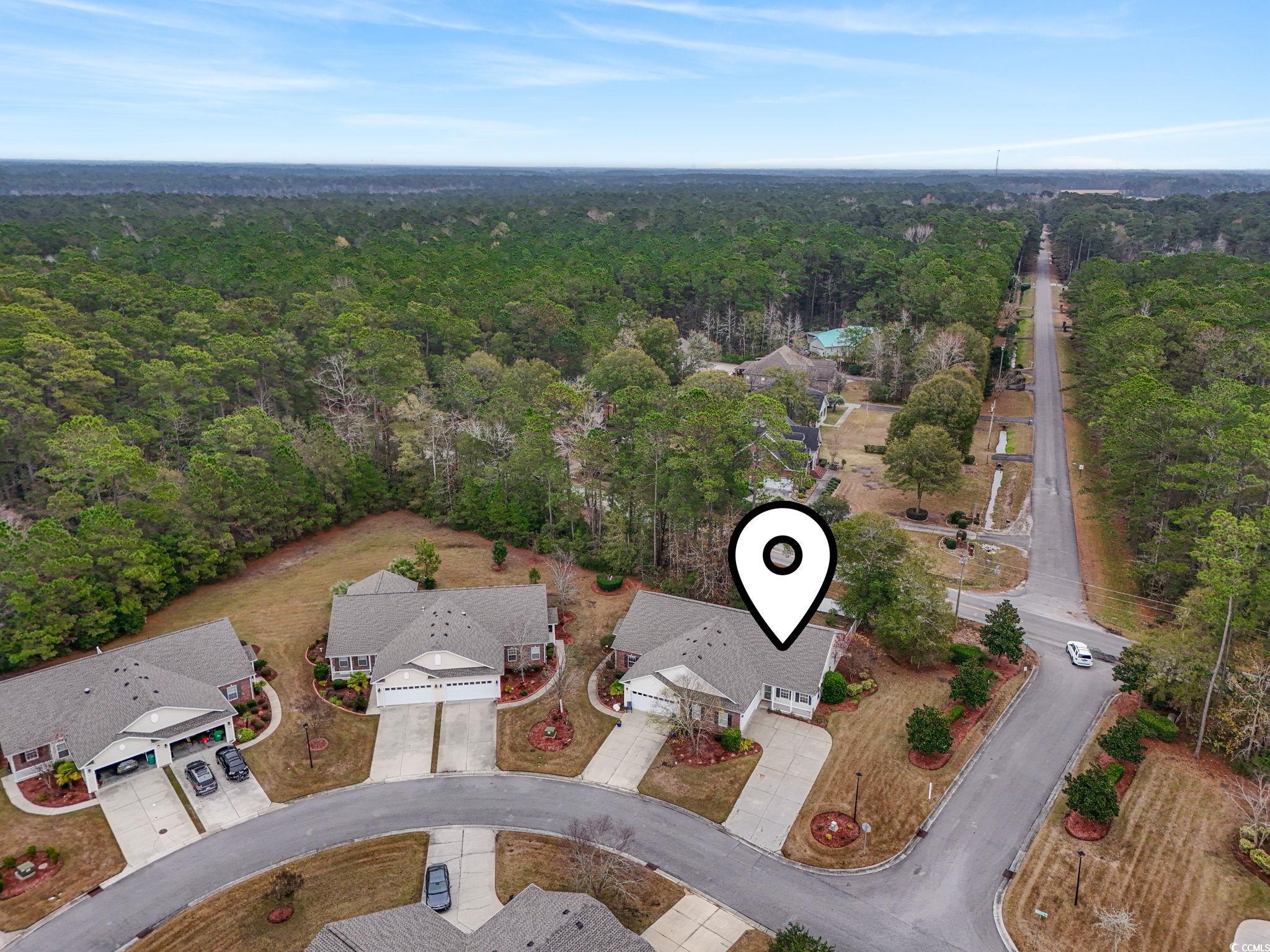 152 Rose Water Loop Myrtle Beach, SC 29588 - Photo 41 of 45