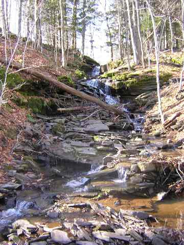 464 Pond Hill Road Rensselaerville, NY 12147 - Photo 11 of 11 Photo 11