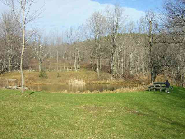 464 Pond Hill Road Rensselaerville, NY 12147 - Photo 8 of 11 Photo 8
