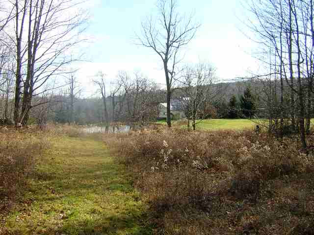 464 Pond Hill Road Rensselaerville, NY 12147 - Photo 10 of 11 Photo 10