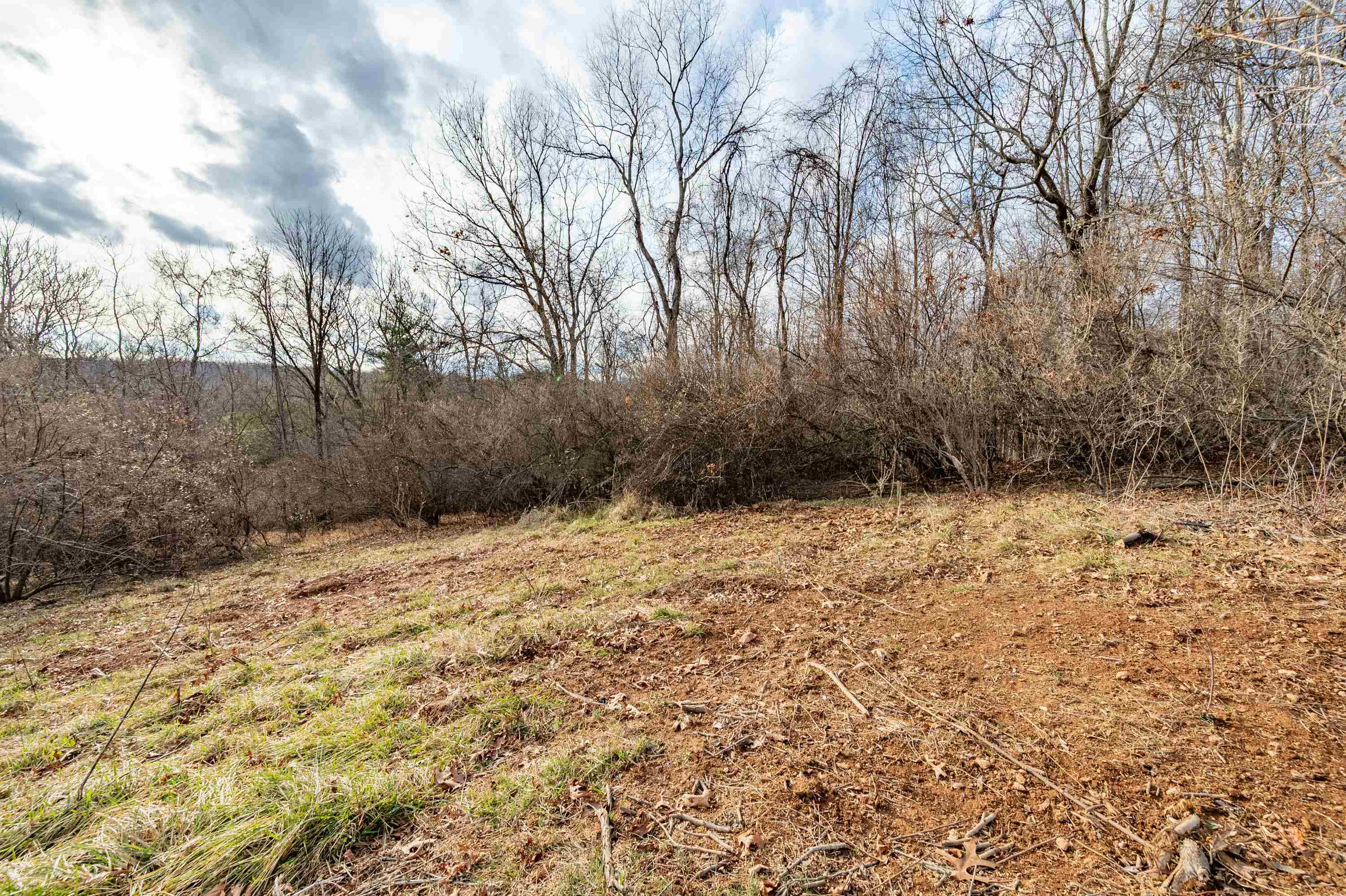Tbd Spangler Mill Road Northeast Floyd, VA 24091 - Photo 41 of 44 Gallery Image 41