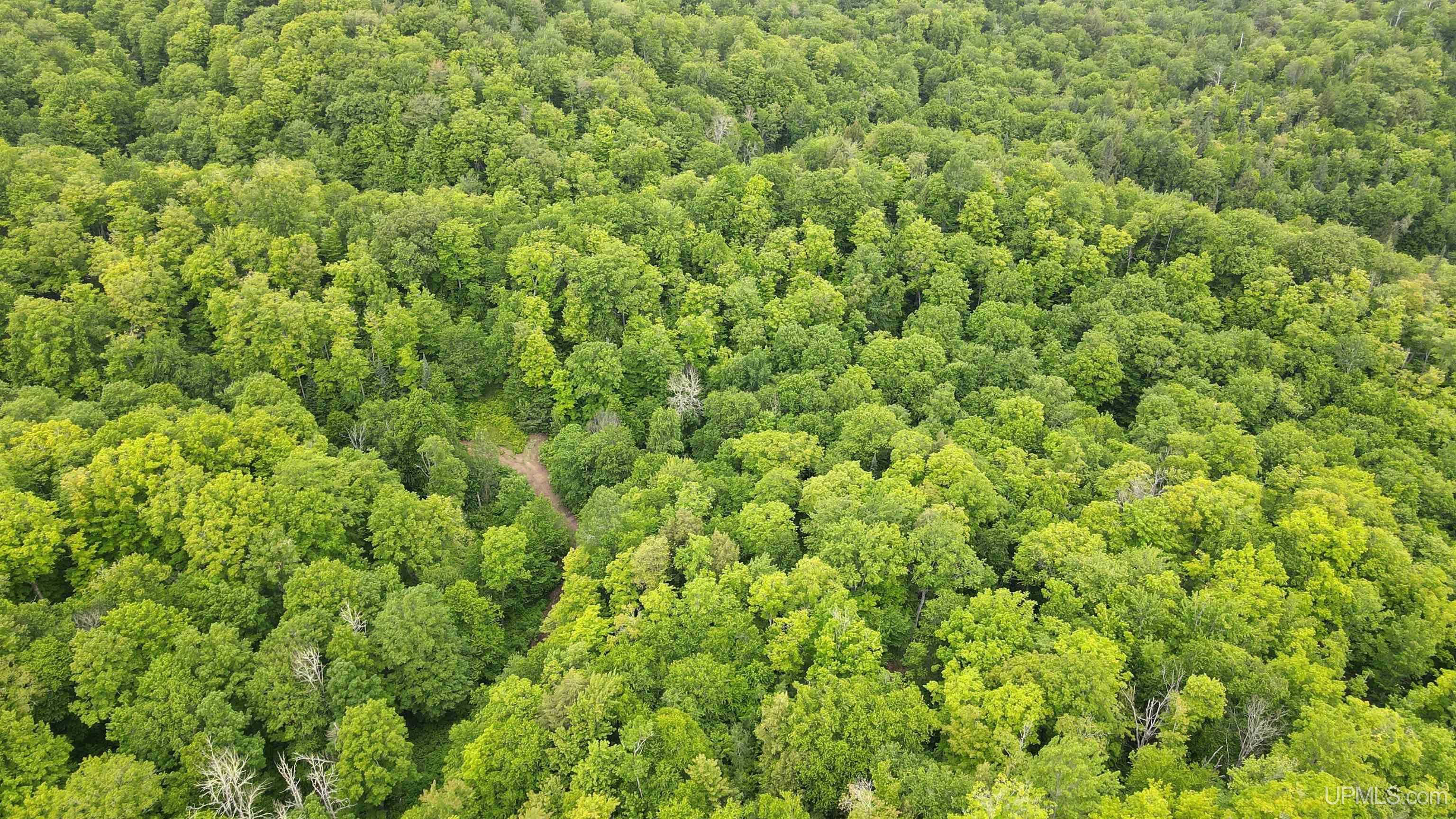 Tbd Donken-Tapiola Road Toivola, MI 49965 - Photo 8 of 12