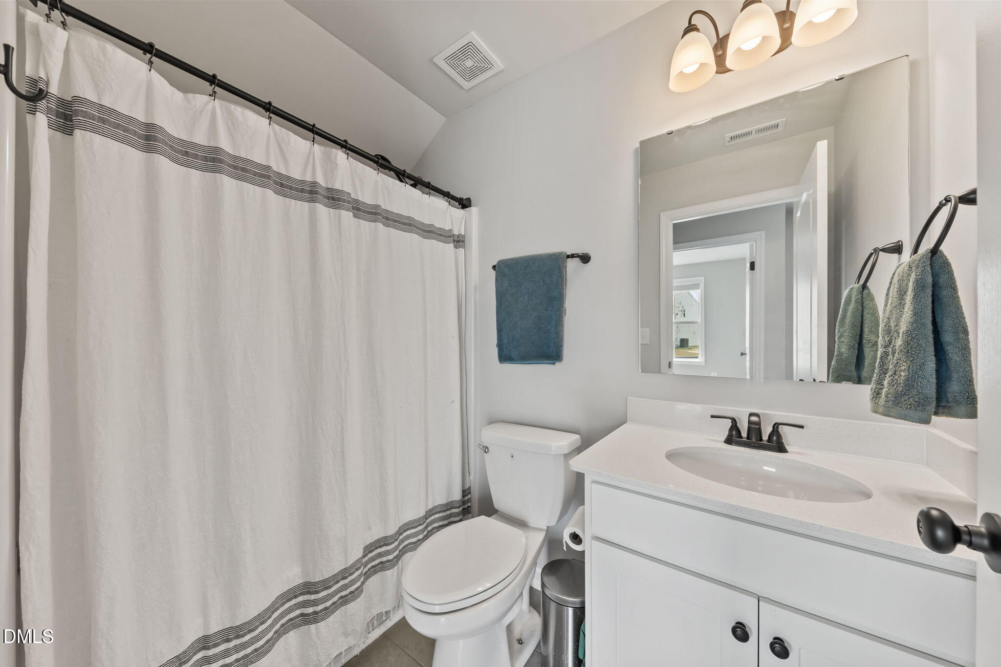 174 Cobra Lane Raeford, NC 28376 - Photo 14 of 32 a bathroom with a sink a toilet a mirror and shower curtain