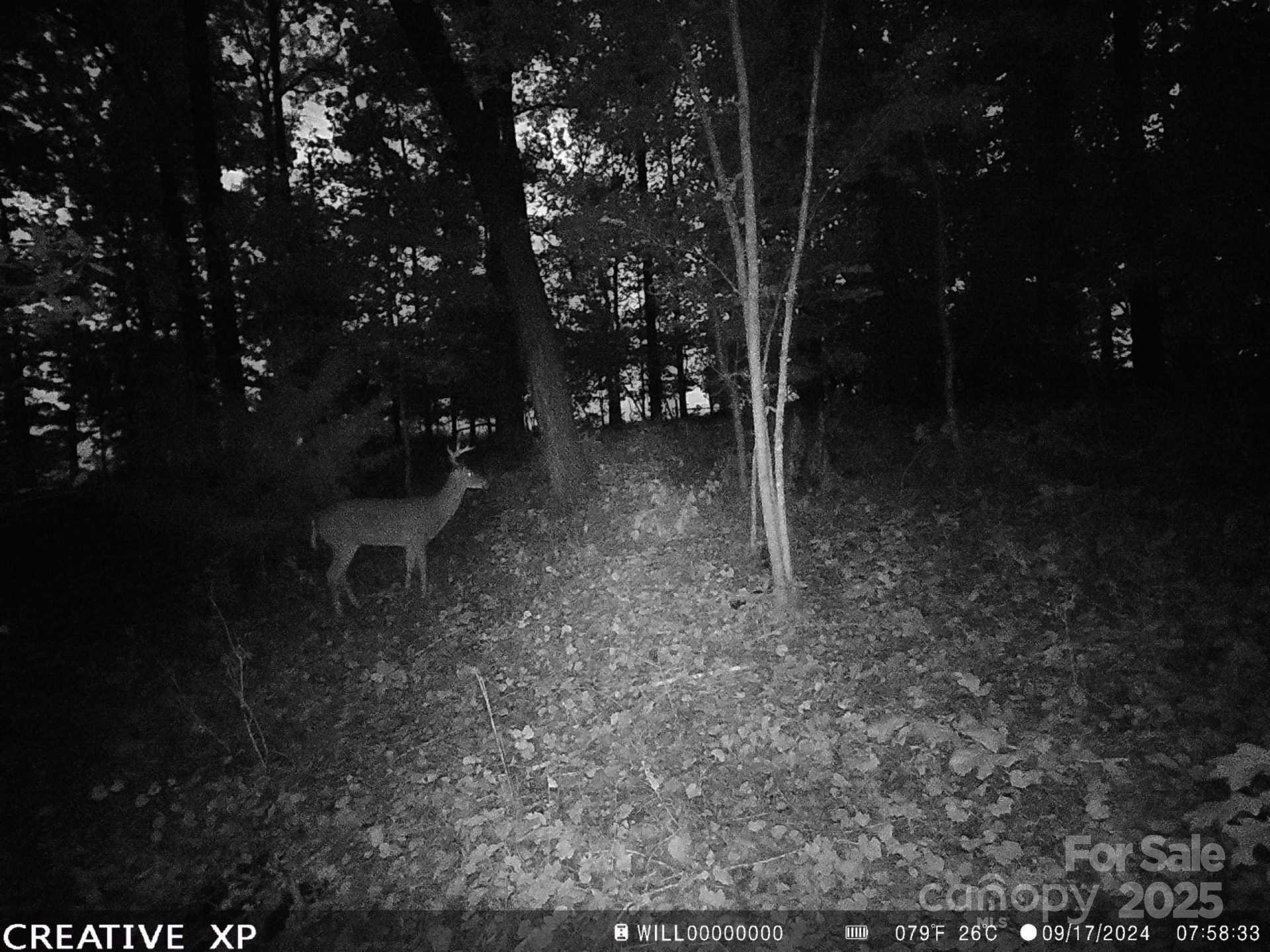 7210 Mission Road Mount Pleasant, NC 28124 - Photo 11 of 14