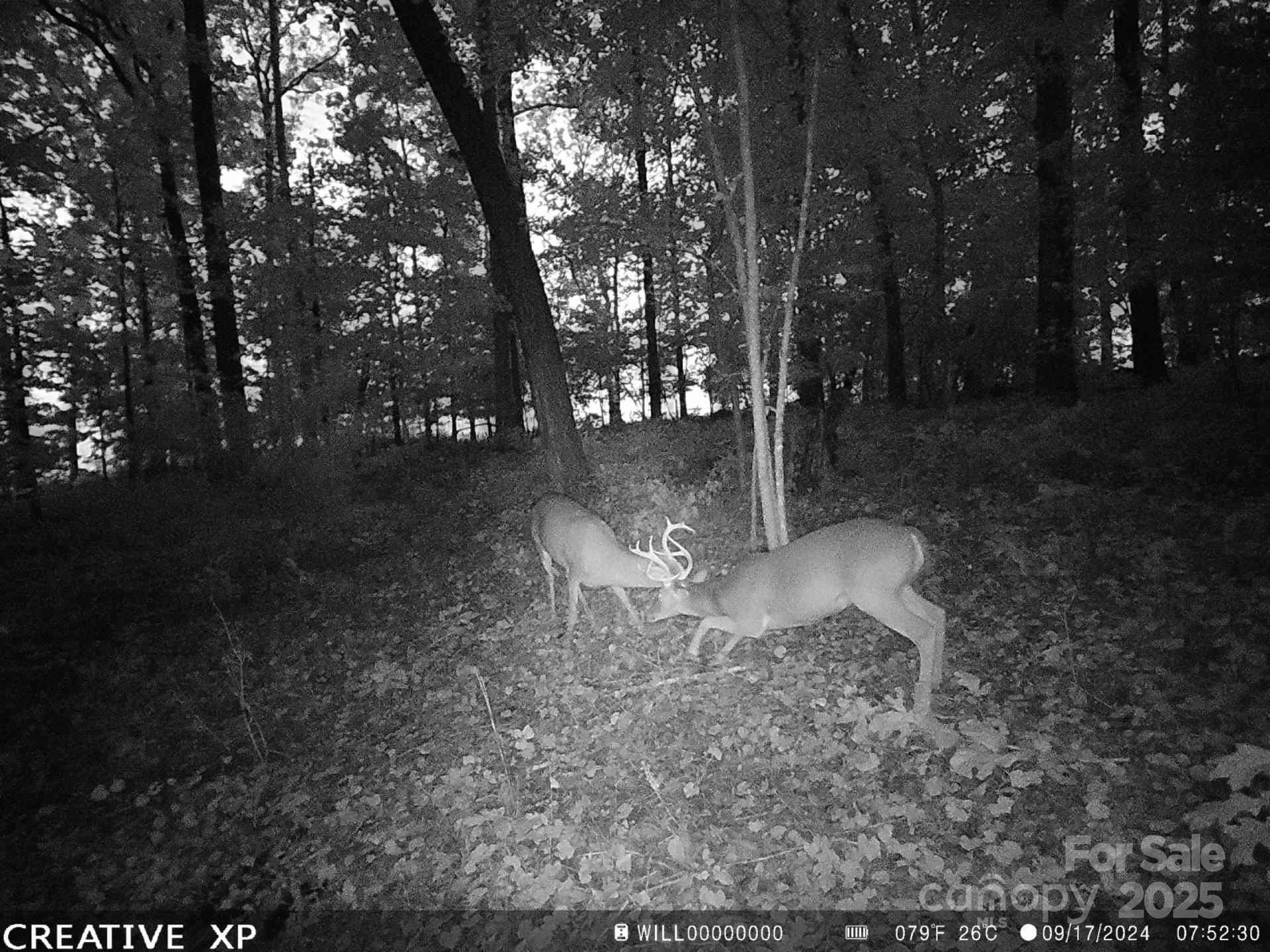 7210 Mission Road Mount Pleasant, NC 28124 - Photo 12 of 14