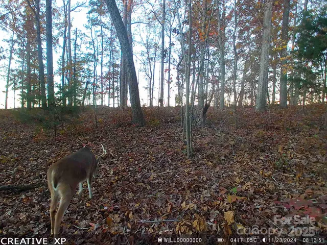 $375,000 | 7210 Mission Road, Mount Pleasant, NC 28124