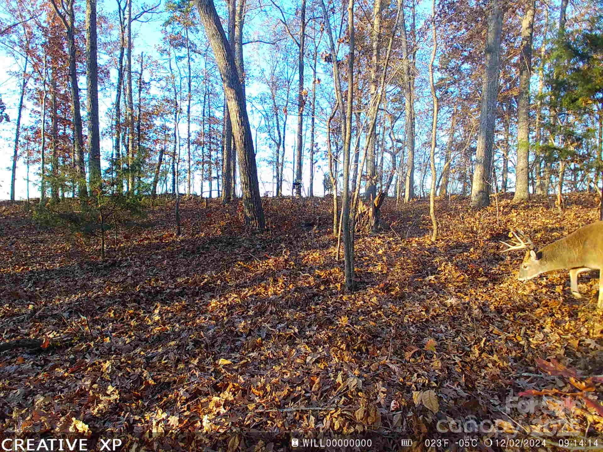 7210 Mission Road Mount Pleasant, NC 28124 - Photo 2 of 14