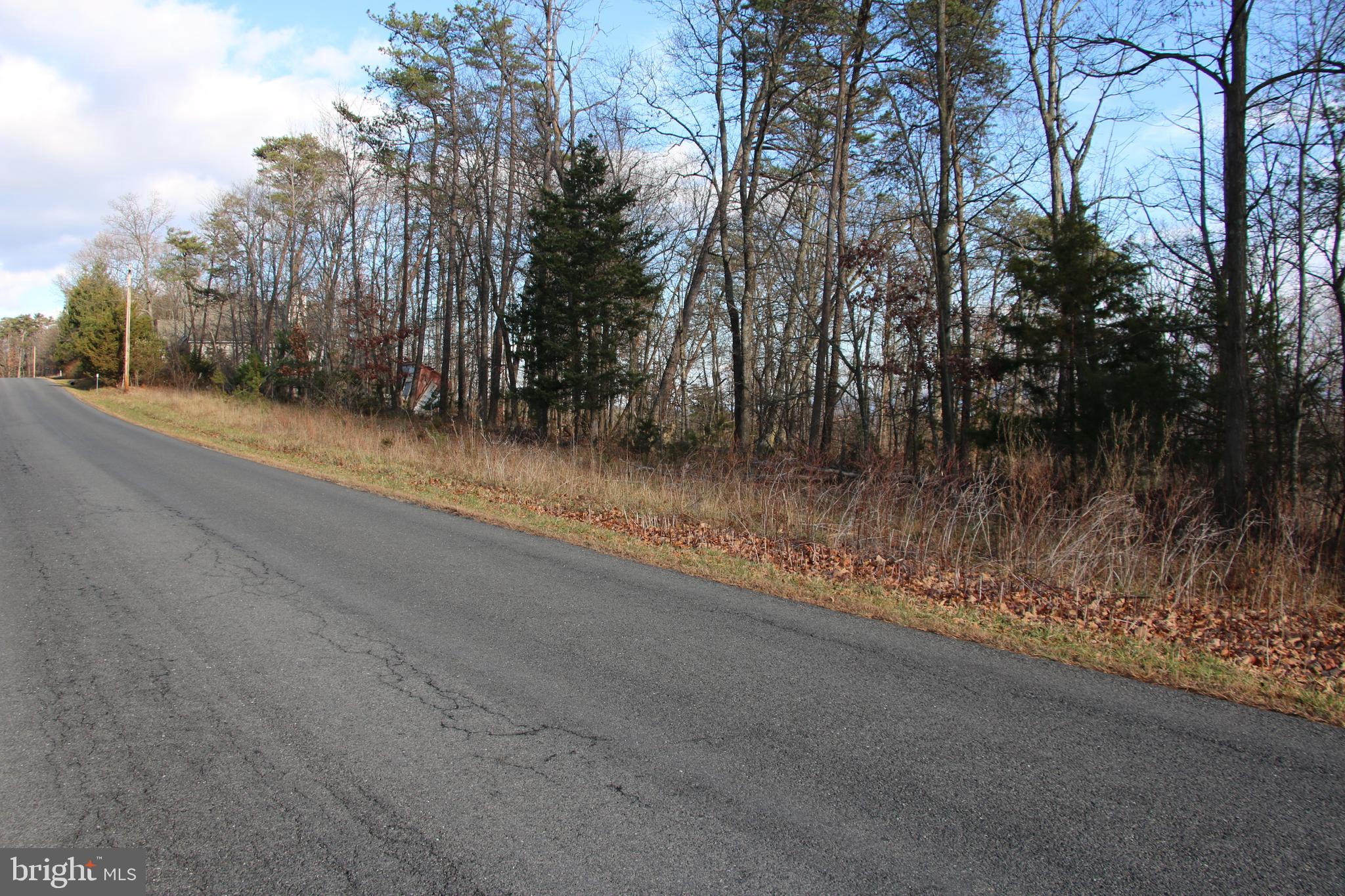 0 Supinlick Ridge Road Mount Jackson, VA 22842 - Photo 11 of 16 Gallery Image 11