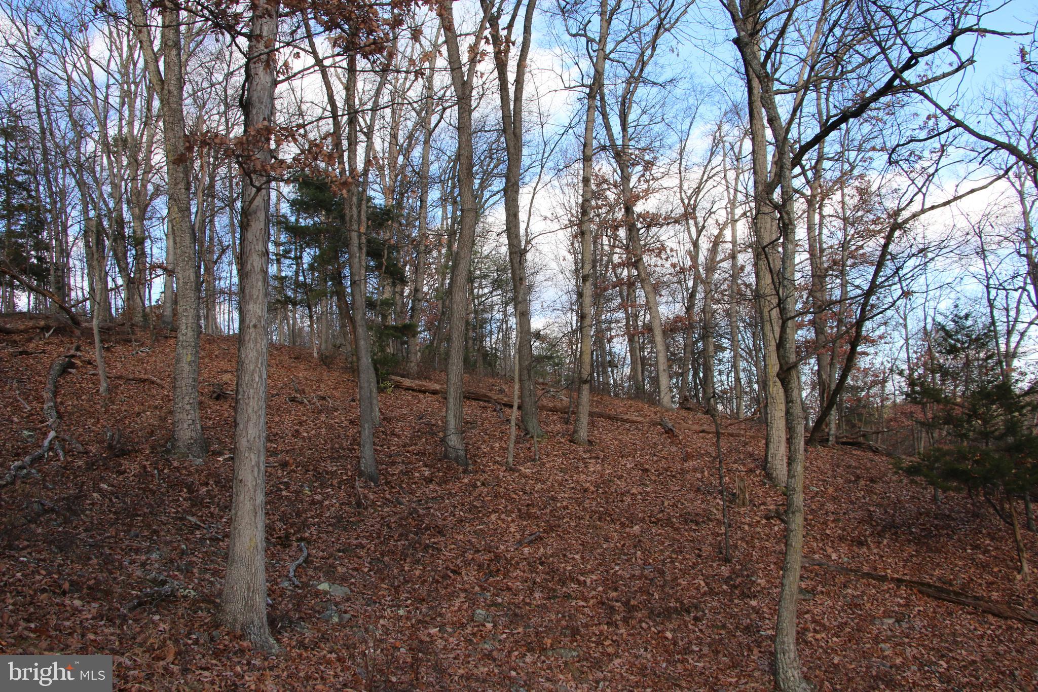 0 Supinlick Ridge Road Mount Jackson, VA 22842 - Photo 12 of 16 Gallery Image 12