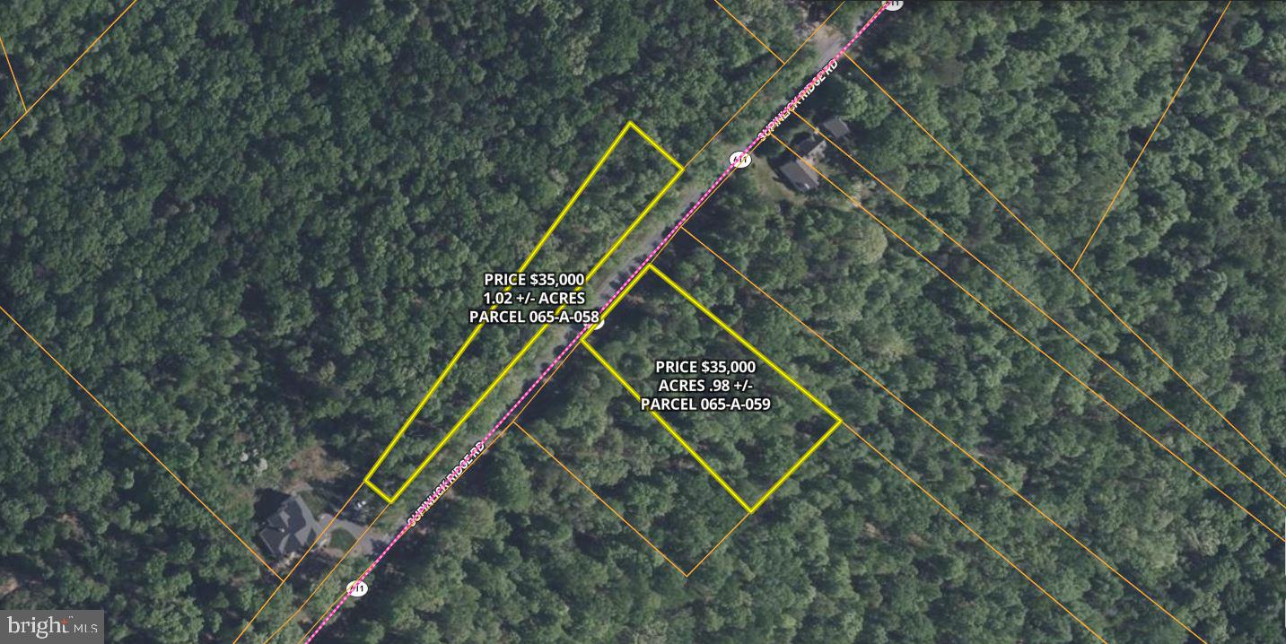 0 Supinlick Ridge Road Mount Jackson, VA 22842 - Photo 16 of 16 Gallery Image 16