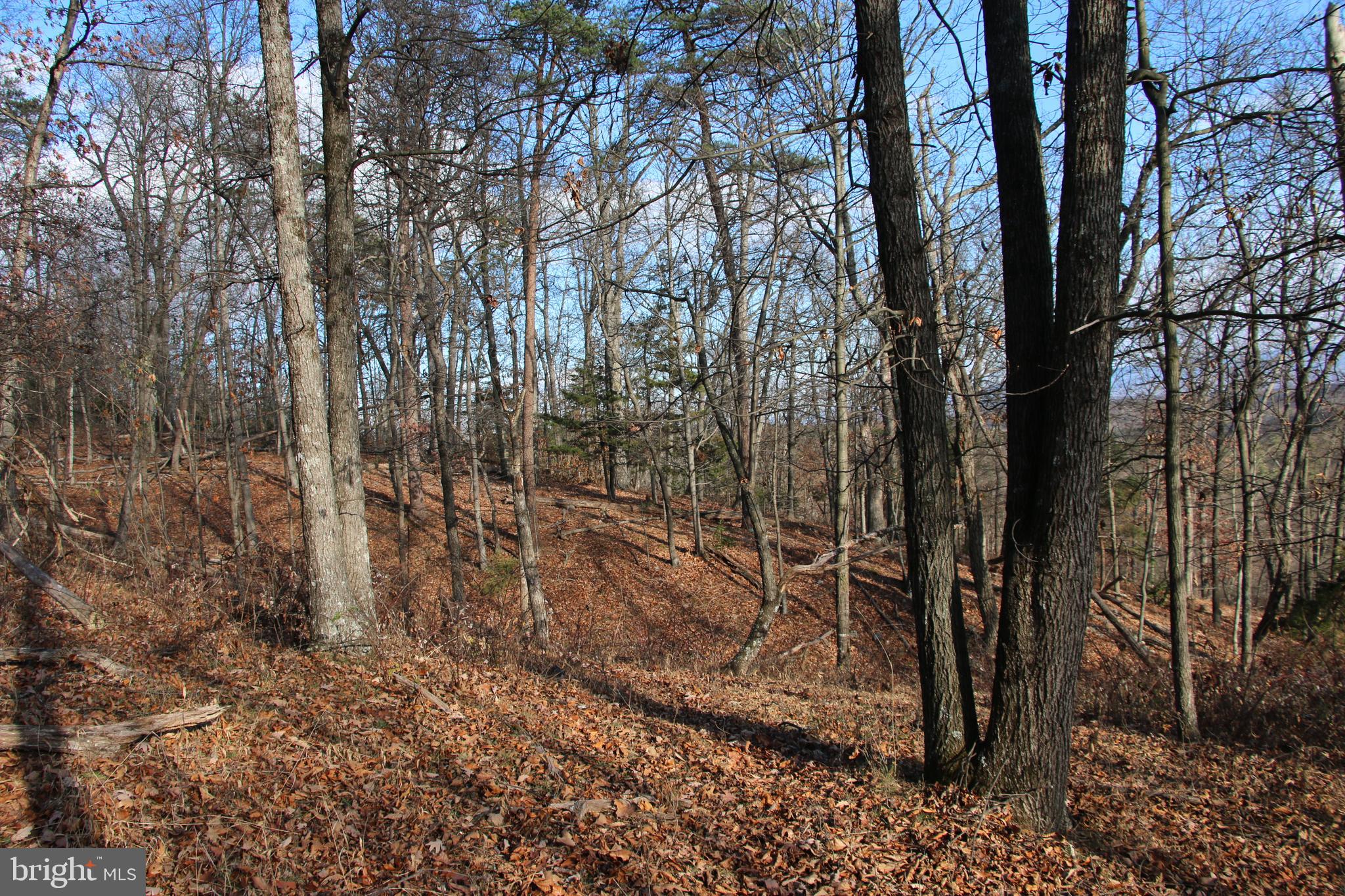 0 Supinlick Ridge Road Mount Jackson, VA 22842 - Photo 10 of 16 Gallery Image 10