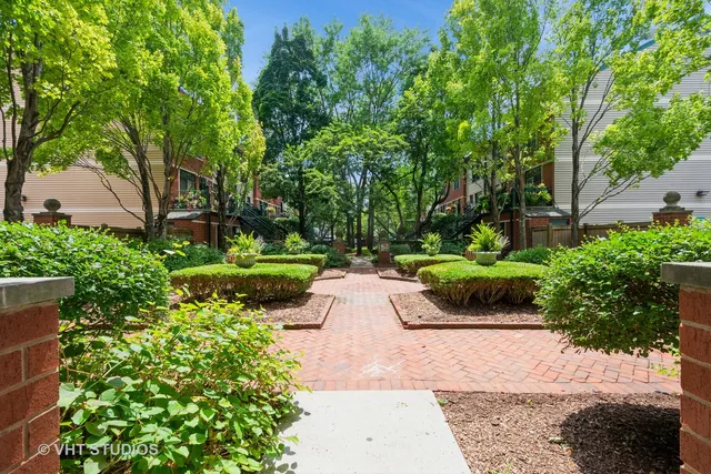 a view of a garden with potted plants