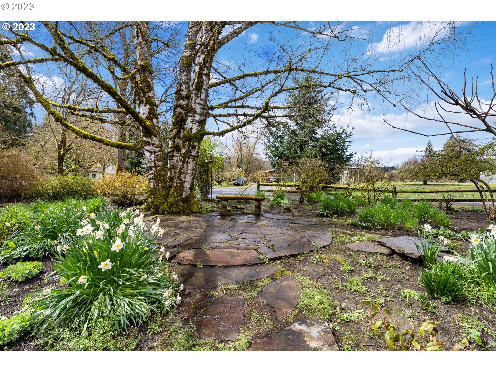 15140 Northwest Gillihan Road Portland, OR 97231 - Photo 33 of 34 a view of yard with green space