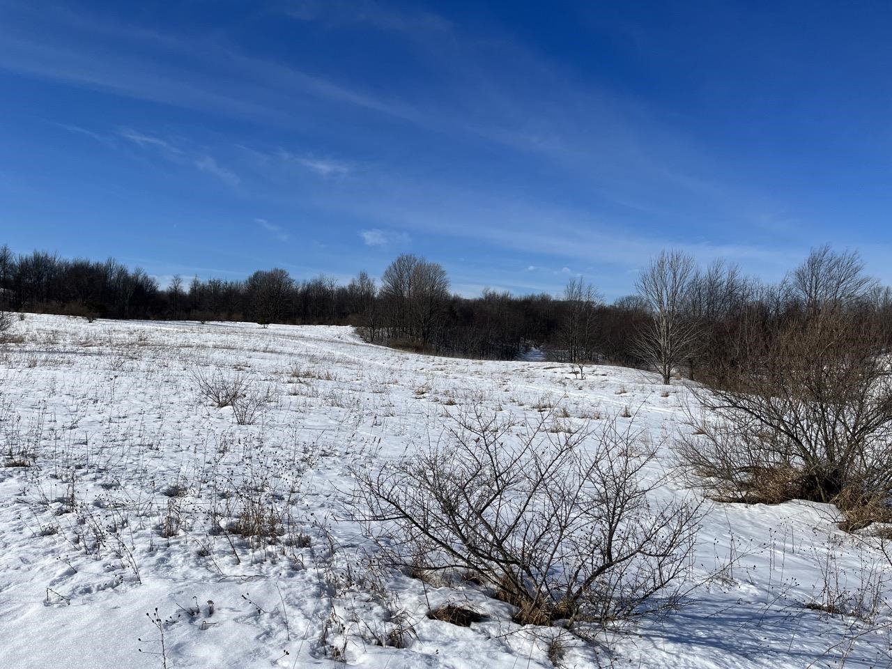 Parcel O Florey's Ranch Road, Unit LOT: O Grawn, MI 49637 - Photo 6 of 11
