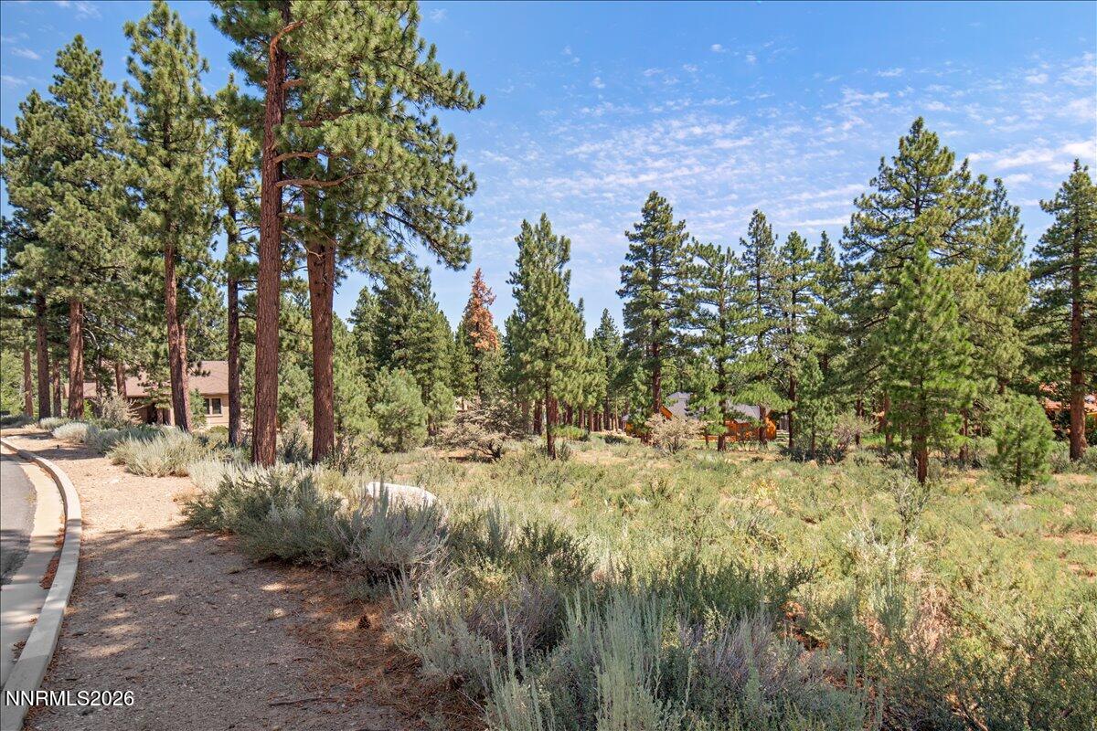 279 East Jeffrey Pine Road, Unit B/7 Reno, NV 89511 - Photo 14 of 18 14-7803517