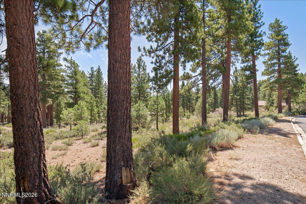 279 East Jeffrey Pine Road, Unit B/7 Reno, NV 89511 - Photo 16 of 18 16-7803522
